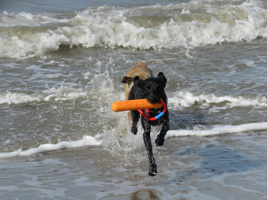 Ylvie im Wasser.jpg